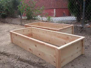 Raised Cedar Box Garden 2